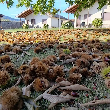 Casa Fonso * Villapedre